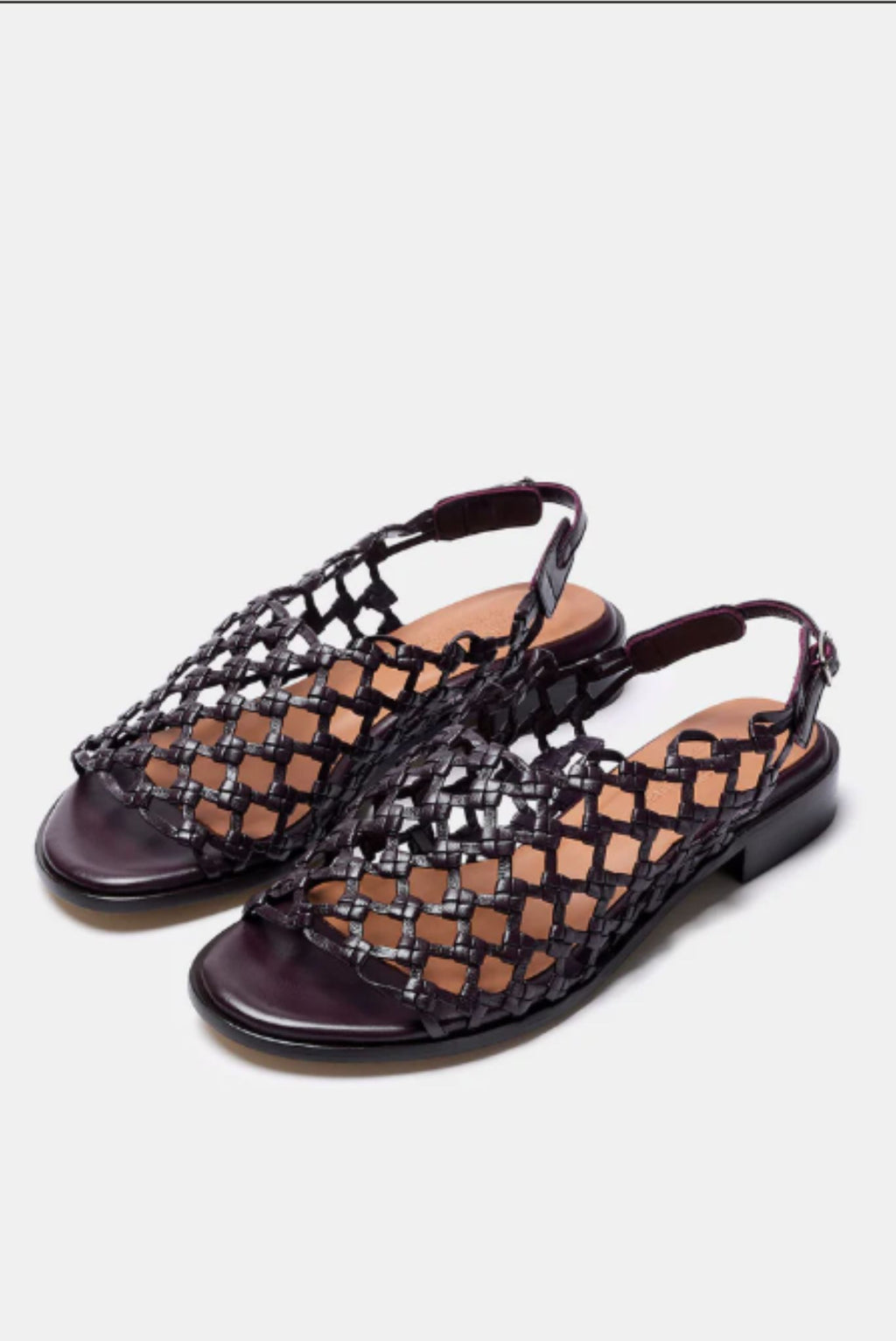 Zapato Mogan Berengena
